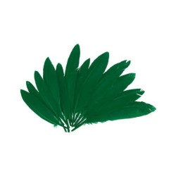 Plumas Indio 140mm verde 60u.