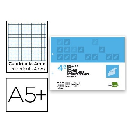 Recanvi Liderpapel 4t apaïsat 100 fulls quadre 3 mm 2 forats marge